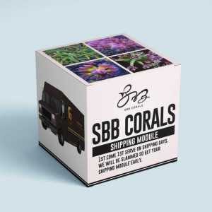 Shipping Module- Buy if Order is under $400